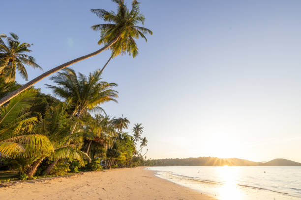 istock Tropical Beach Sunrise with Palm Trees 2192871617