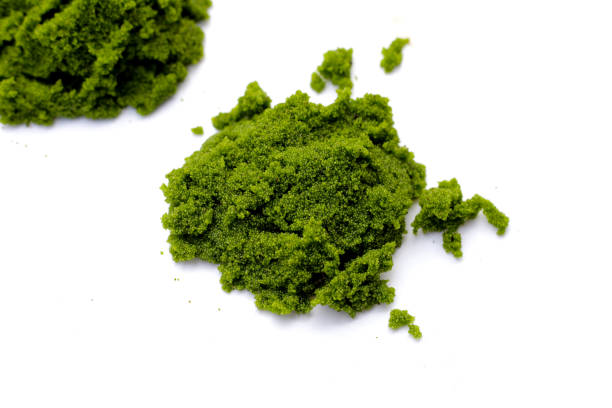 istock Fresh water alga, water meal or swamp algae 2192872965