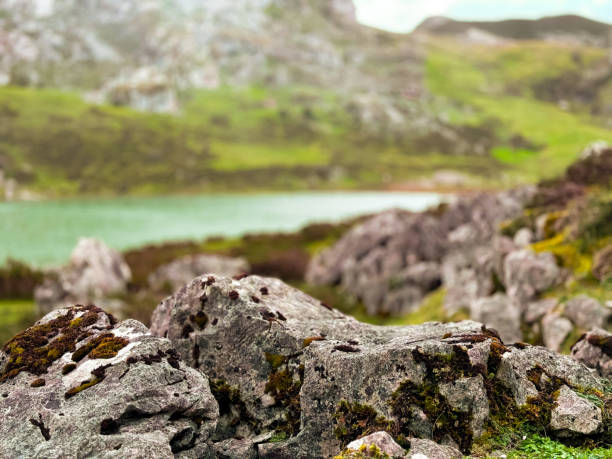 Moss covered rocks in verdant mountain landscape by a serene lake.