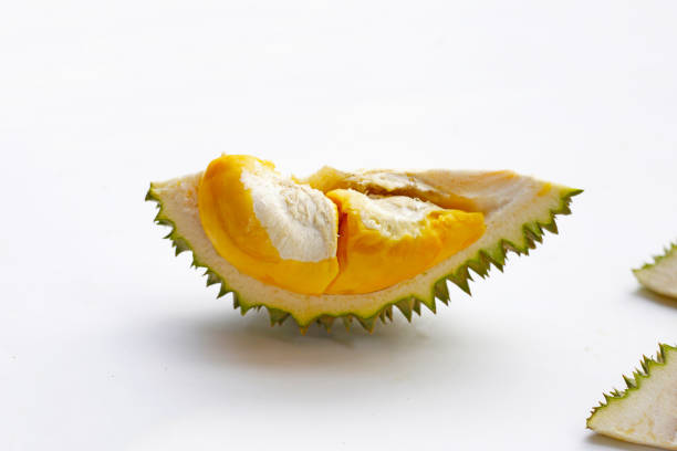 Ripe durian fruit, Thai tropical fruit