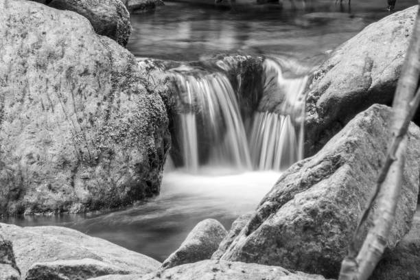 mystic view of mountain forest with little waterfall in black and white