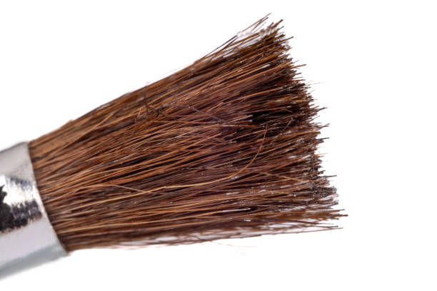 istock Macro detail of a paintbrush bristle 2192879170