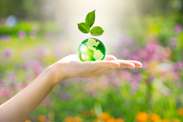 istock Earth Day or World Environment Day concept. Save Planet, restore and protect Green Nature, sustainability and Climate theme. Leaf grows on globe in hand. 2192879236