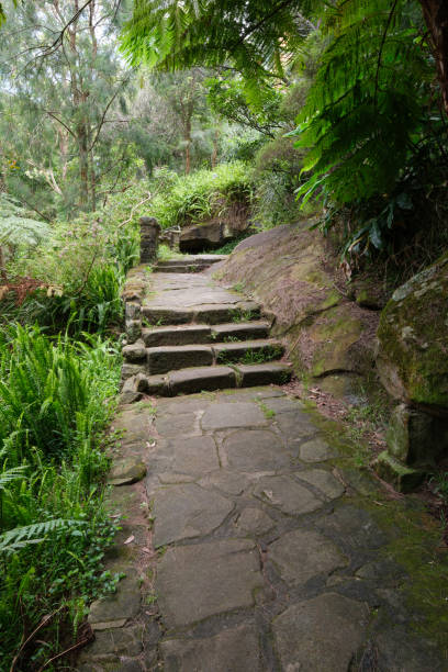 istock Old stone stairs on a paved hiking trail 2192888748