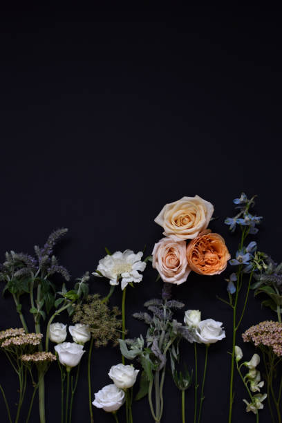 istock Vibrant flowers including roses and wildflowers on black backdrop 2192892850
