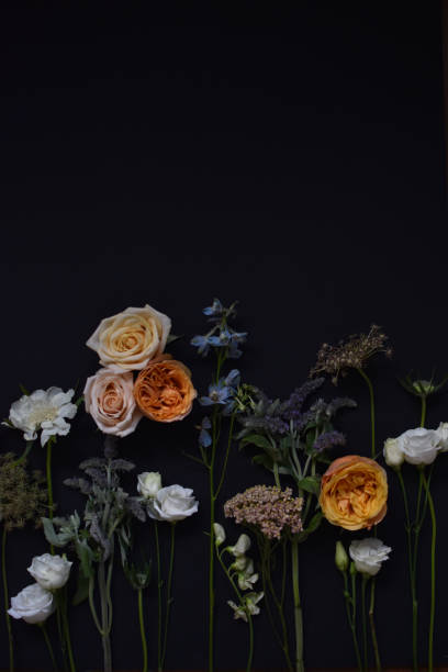 istock Vibrant flowers including roses and wildflowers on black backdrop 2192892853