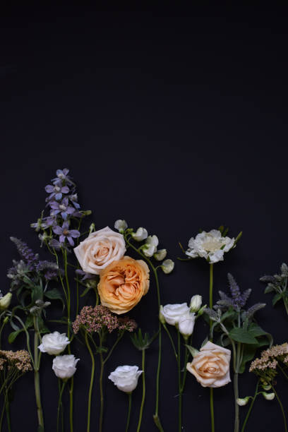 istock Vibrant flowers including roses and wildflowers on black backdrop 2192892854
