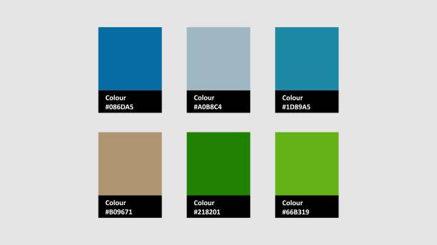 istock A vibrant vector color palette featuring six distinct shades of blue, green, and brown. Perfect for design projects, branding, and creative inspiration. Ideal for designers seeking diverse color 2192899795