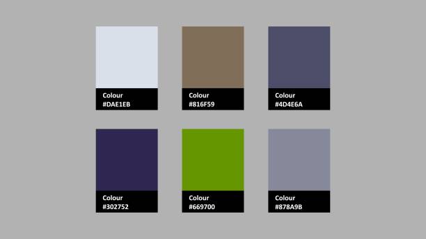istock Vector palette featuring six distinct color swatches on a gray background. Ideal for design inspiration and color selection. Perfect for any creative project or design scheme 2192899892