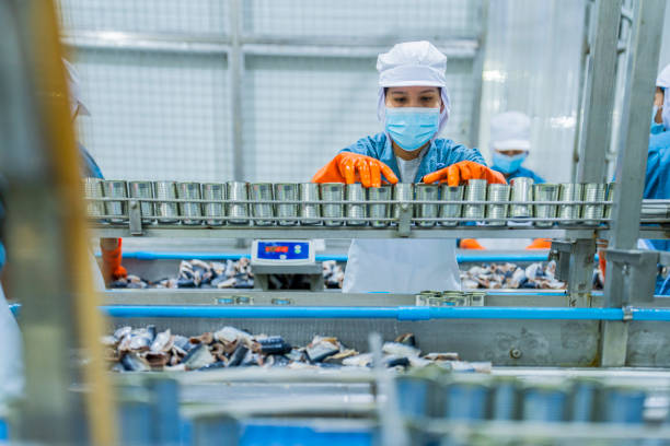 istock A production line worker operating under strict health and safety guidelines, ensuring the quality of canned goods in a modern food processing facility. 2192901591