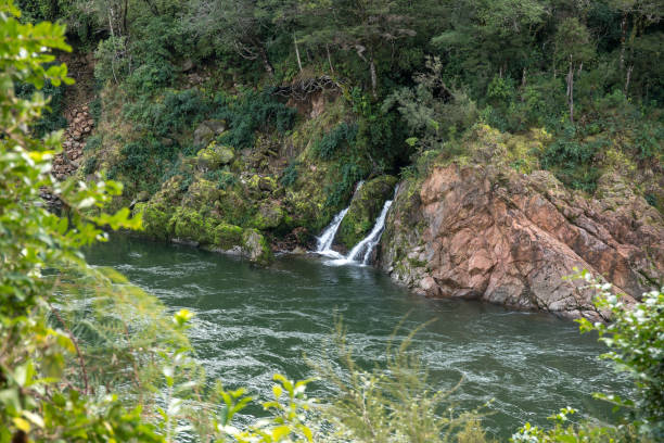 istock River scenery in the Upper Buller gorge 2192902581