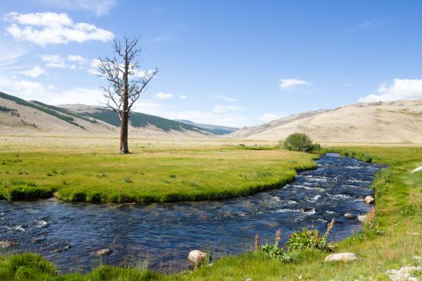istock Serene River Landscape in Yellowstone 2192904372