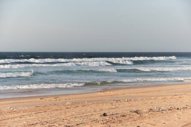 istock Atlantic ocean, close Lake Rose, Senegal, West Africa 2192905461