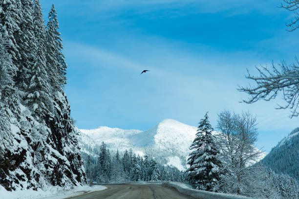 Winter road in the mountains with snow covered trees and blue sky in British Columbia, Canada