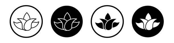 Aloe vera thin line vector icon set. Aloe vera vector icon on the white background. EPS 10 aleo vera stock illustrations