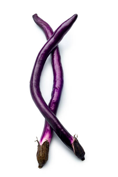 Two Fresh raw Japanese purple eggplants isolated on white background. Studio shot.
