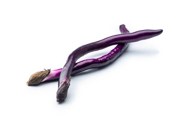 Two Fresh raw Japanese purple eggplants isolated on white background. Studio shot.