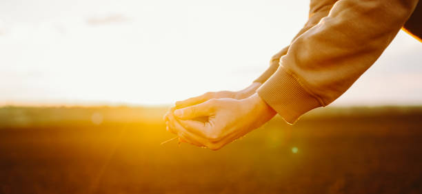 istock Plowed field at sunset. Agriculture, soil before sowing. 2192915826