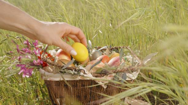 istock A Hand Places a Yellow Egg into a Basket Filled with Easter Eggs and Flowers. 2192919829