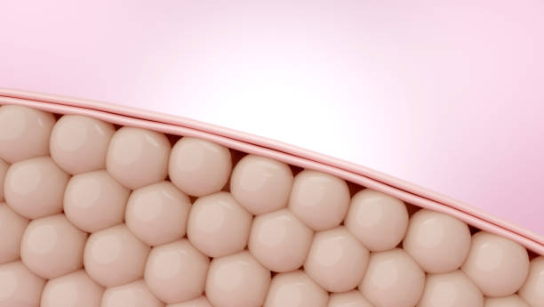istock restoring collagen and smoothing wrinkles 2192921725