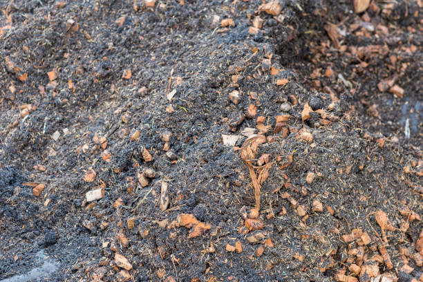 istock A mix of organic materials blended for plant 2192921750