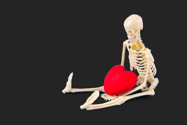 istock Skeleton Figurine Holding Red Heart on Dark Background 2192922140