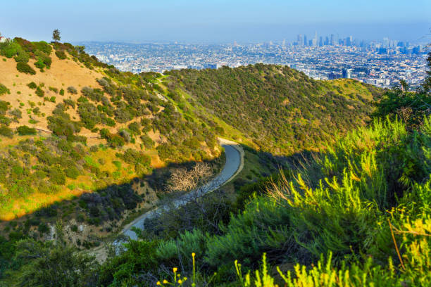 istock Lush Hills and Winding Path in Runyon Canyon with City View 2192922255