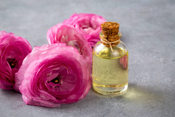 istock Pink ranunculus flowers essential oil 2192922775