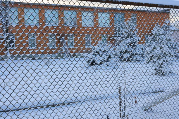 The wire mesh is covered with frost