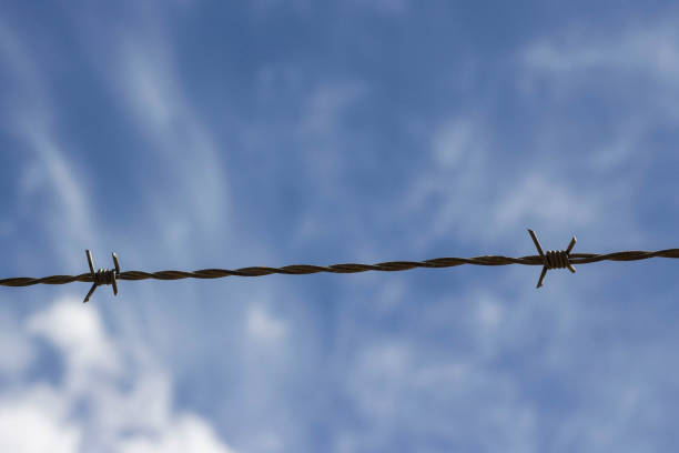 istock wires with the sky in the background, without step 2192927506