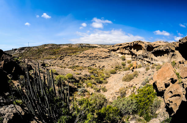 istock A desert landscape with a few bushes and a rock formation 2192929241