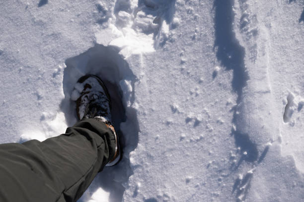 A person's foot in the snow showing the snow depth