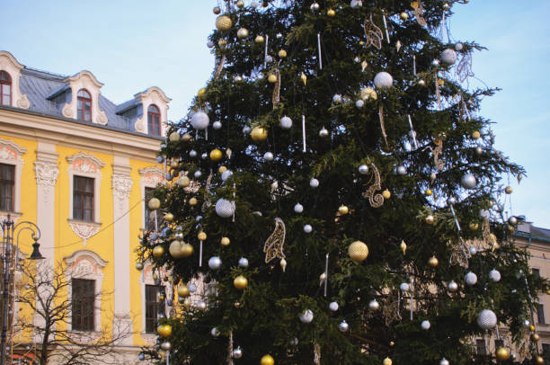 istock Decorated Christmas tree in historic square 2192929914