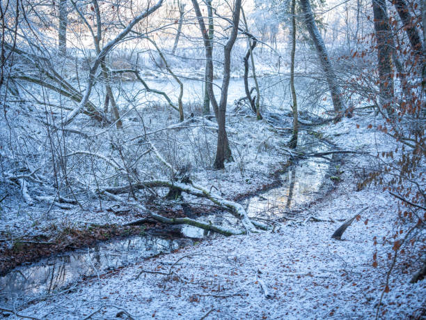 Holidays in P[oland - Winter scenery with lake in Masuria,  land of a thousand lakes