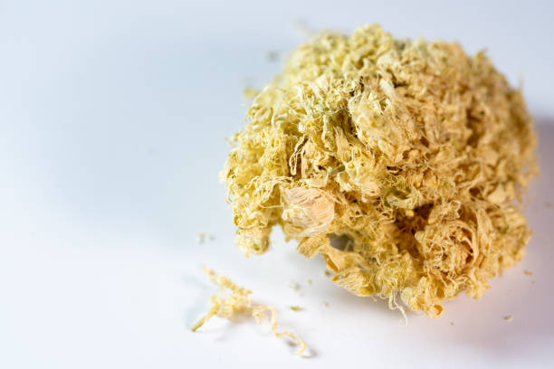 chinese medicine  caulis bambusae in taeniam, bamboo shavings