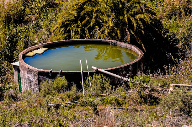 istock A large, dirty pool sits in a grassy field 2192938090