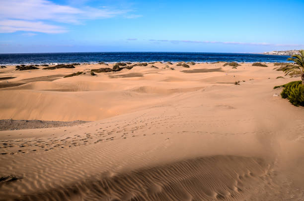 istock A beach with a clear blue ocean and a sandy beach 2192938098