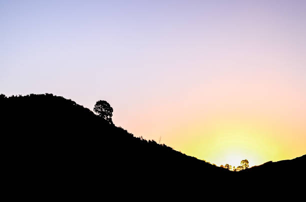A silhouette of a tree is shown against a backdrop of a beautiful sunset. The tree is the only object in the image, and it is the main focus of the scene. The sky is filled with vibrant colors