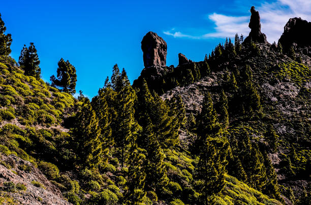 istock A mountain with a large rock on top and trees on the side 2192938119