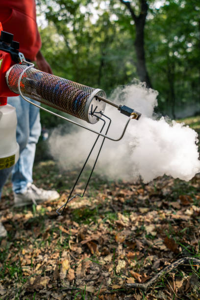 istock Advanced Thermal Fogger in Forest Setting – Precision and Efficiency in Action 2192939478