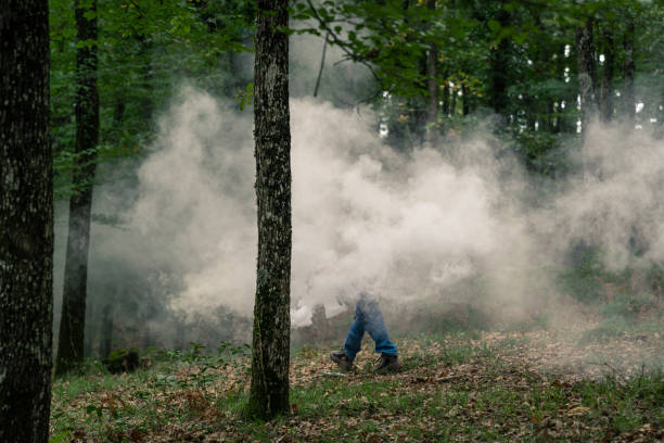 A versatile thermal fogger producing dense fog in a forest setting, ideal for film production, special effects, or pest control applications. Captures the essence of cinematic fog creation in nature