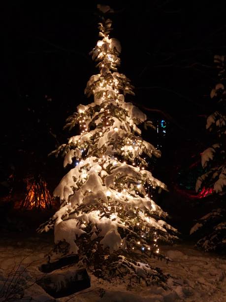 Decorated outdoor Christmas tree concept