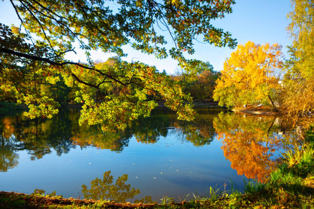 istock Lake surrounded by trees with autumn foliage 2192940498
