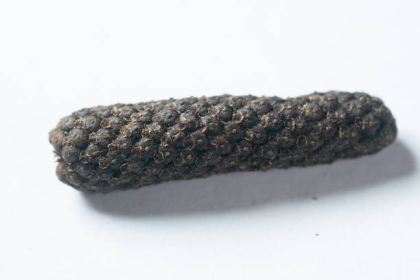 chinese medicine  Long pepper