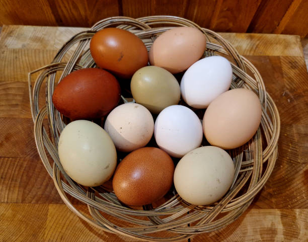 istock eggs from several types of hens. various shades from brown to white. even greenish eggs in a paper bag from the farm 2192946974