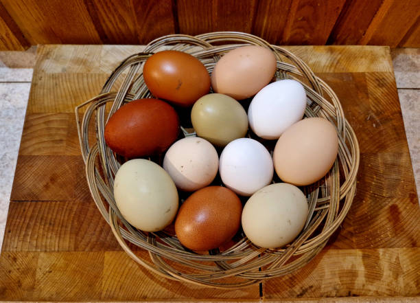 istock eggs from several types of hens. various shades from brown to white. even greenish eggs in a paper bag from the farm 2192946975