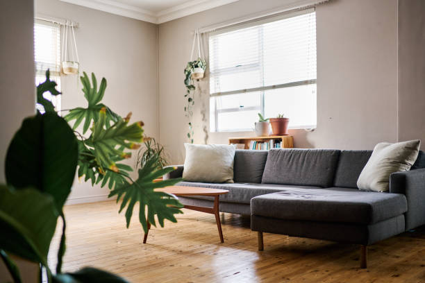 istock Modern apartment living room with grey sofa 2192948059