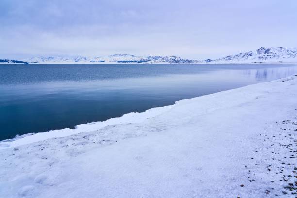 Serene winter landscape of a snow-covered lake shore with distant mountains under a cloudy sky.