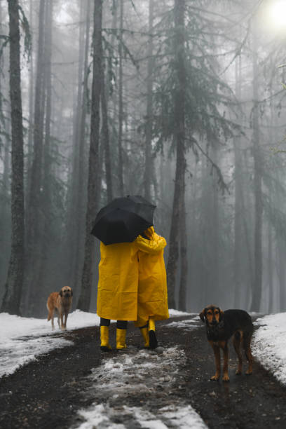 istock Romantic Couple Protecting From Rain Embracing Under One Umbrella While Forest Dogs Are Following Them 2192956199