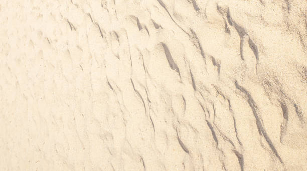 istock Summer beach sand background with natural wave pattern. Sand texture. Sunny gold sandy beach 2192956850